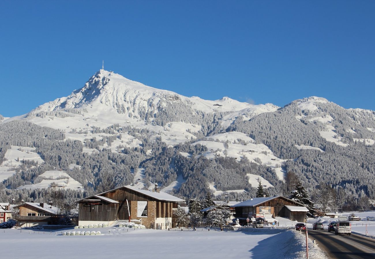Apartment in Kirchberg in Tirol - Chalet Kitz T2