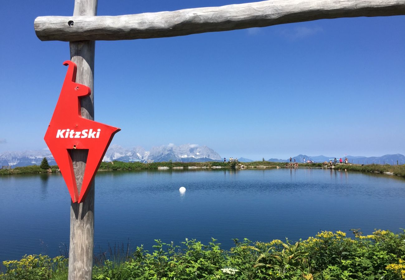 Apartment in Kirchberg in Tirol - Franglhof Gaisberg