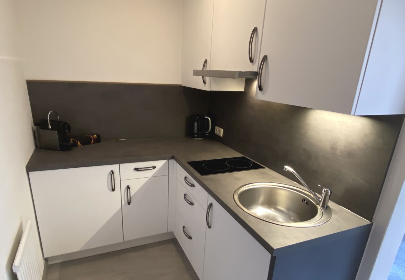 Apartment in Kirchberg in Tirol - Franglhof Gaisberg