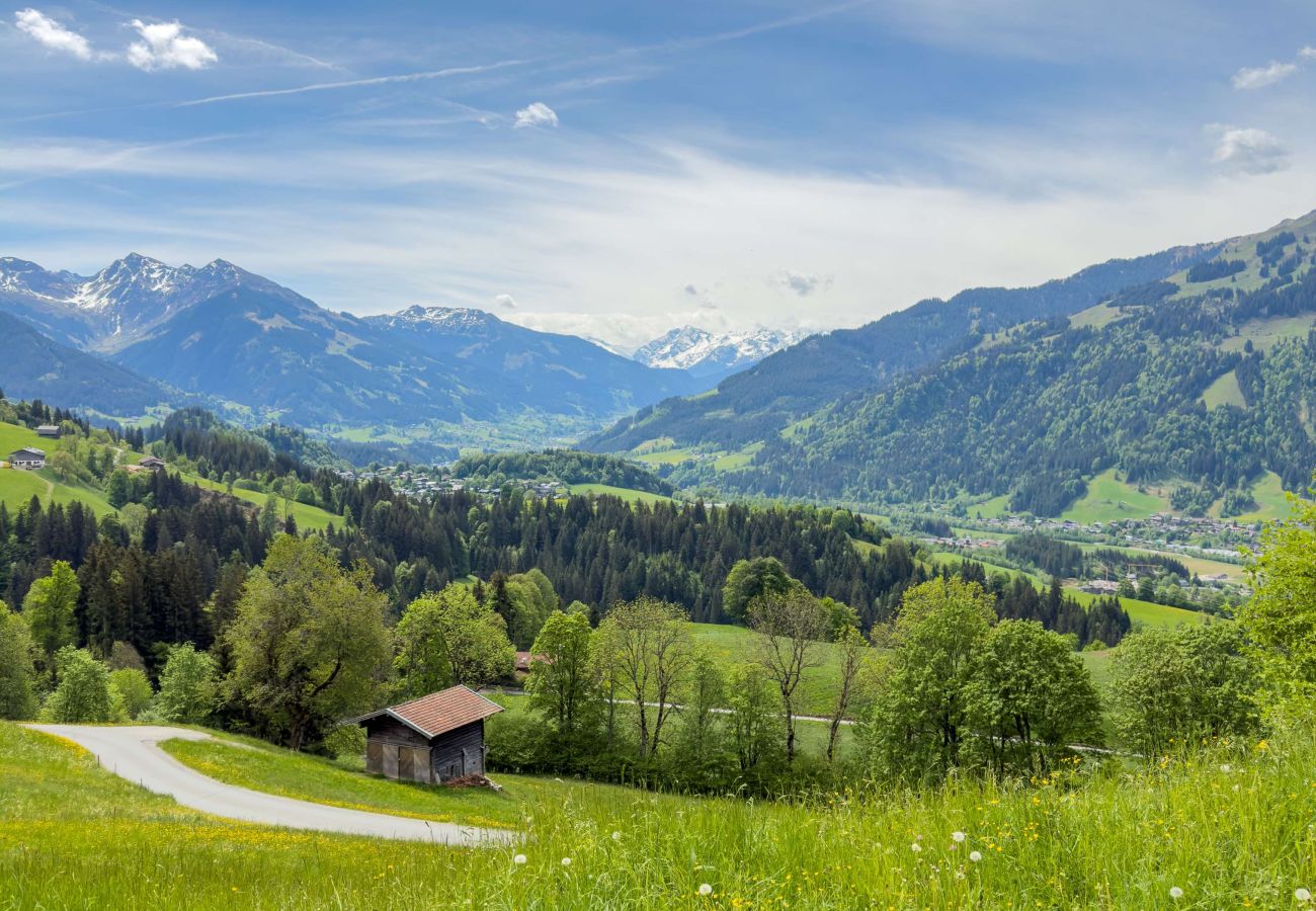 House in Reith bei Kitzbühel - Auhäusl