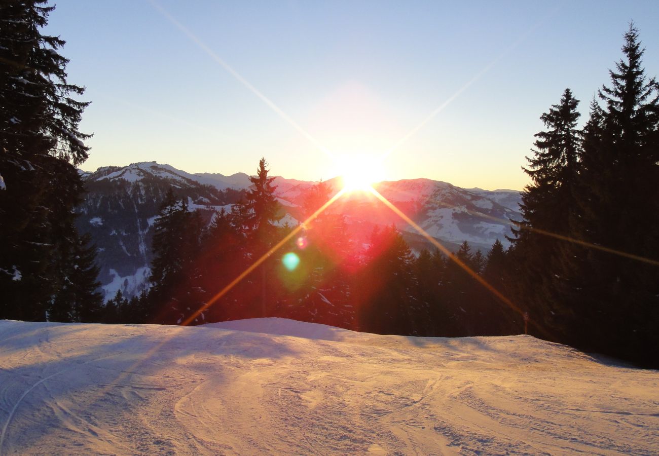 Ferienwohnung in Kirchberg in Tirol - Chalet Alpin Jewel T6